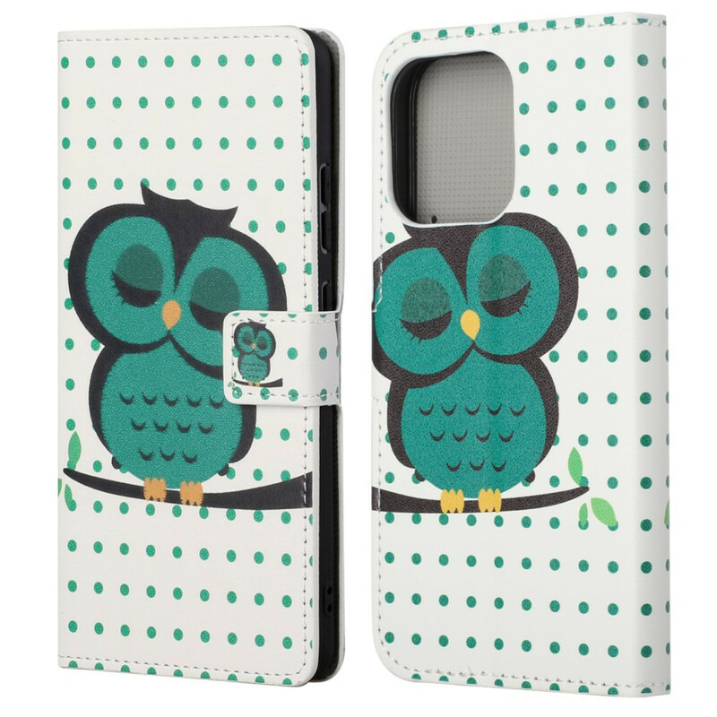 Housse iPhone 13 Pro Hibou Endormi