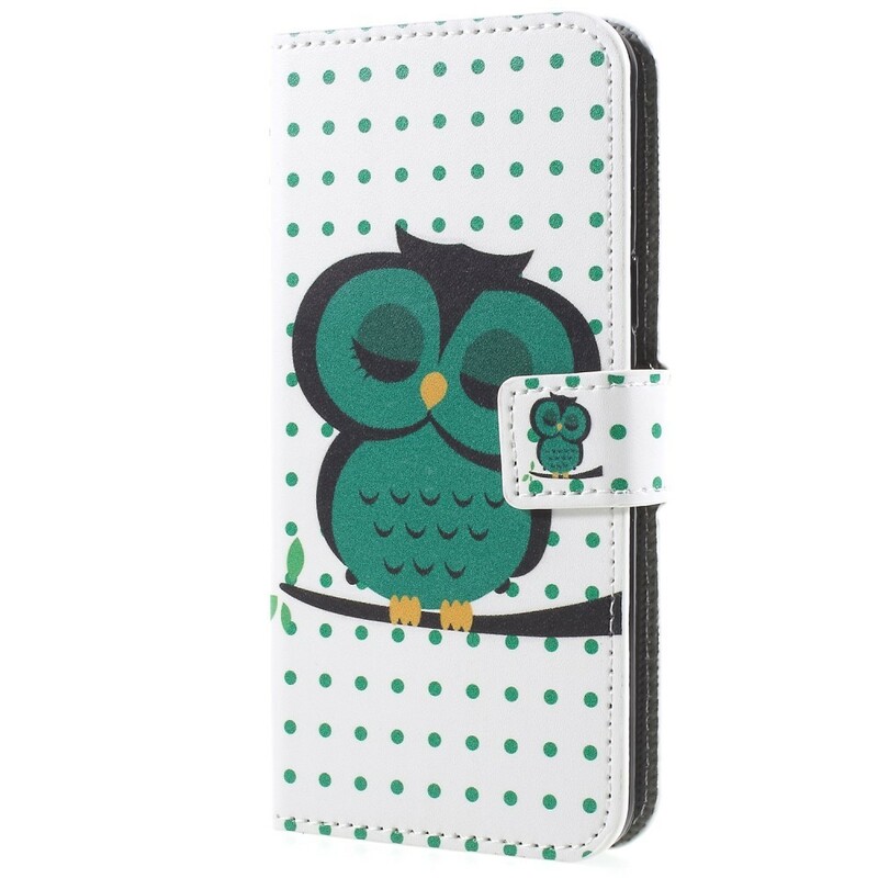 Housse Samsung Galaxy S9 Hibou Endormi