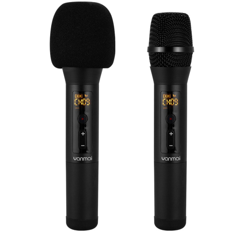 Système de Microphone Dynamique Sans Fil YANMAI