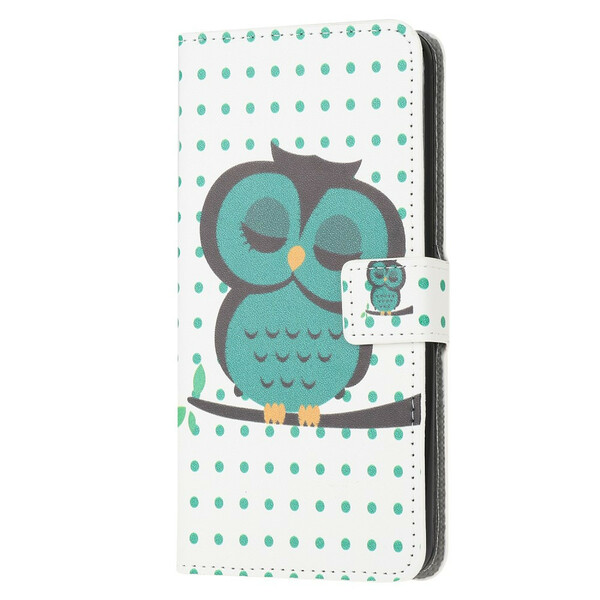 Housse Samsung Galaxy S10 Lite Hibou Endormi